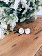 Load image into Gallery viewer, Silver Druzy Studs